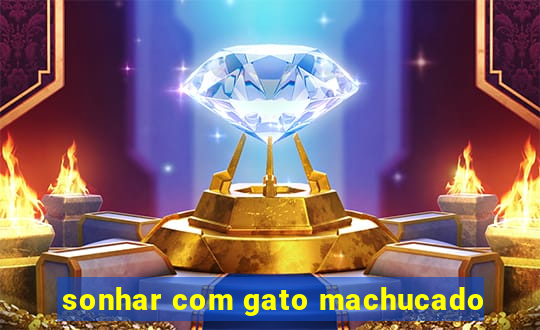 sonhar com gato machucado